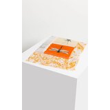 Deni Cler Milano Woman's Scarf T-Ds-C110-0E-45-13-1 | Shoptok.si