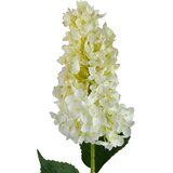 Mondex Cvetna veja plastika Viridis 80cm bela 1kos, (5000331111) | Shoptok.si