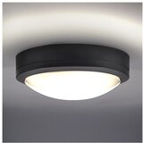 solight WO781-G - LED spoljašnje plafonsko svetlo SIENA LED/20W/230V IP54 antracit | Eponuda.com