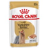Royal Canin Yorkshire Terrier Adult Mousse - 12 x 85 g | shoptok.hr