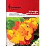 Kapucinka nizka mešanica - 4 g