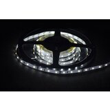 Mitea Lighting M-F3528-60 6500K (dnevna svetlost) led traka 5m 12V 4,8W 60 LED/1m 2835 IP20 | ePonuda.com