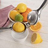 Orion Metalna preša za citruse – | shoptok.hr