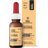 GG's True Organics Perfect Glow Vitamin C Serum Cene