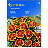 KIEPENKERL Cvetlična semena žametnic Ehrenkreuz (Tagetes patula, Rdeča, rumena) | Shoptok.si