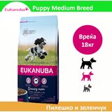 Eukanuba puppi krekeri srednje rase sa piletinom i povrćem [vreća 18 kg] | ePonuda.com