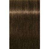 Schwarzkopf igora Royal - 6-63 temno blond čokoladno mat, 60 ml | Shoptok.si