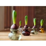 Zone Svetlo siva steklena ročno izdelana vaza (višina 9 cm) Inu – | Shoptok.si