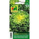 AUSTROSAAT Zimska endivija "Bubikopf 2" (številka Vijf 2) Cene