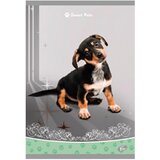 Teka MEKI UVEZ A4 KARO 40 PLUS 2L 80G SWEET PETS ELISA | Eponuda.com