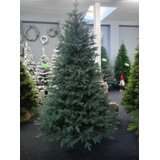 Molarem Home Umjetno božićno drvce LUX srebrna - 240 cm | shoptok.hr