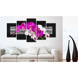  Slika - Modest orchids 200x100 | shoptok.hr
