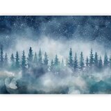  Foto tapeta - Night landscape - landscape of a misty forest at night with a starry sky 400x280 Premium | shoptok.hr