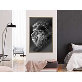  Poster - Old King 40x60 | shoptok.hr