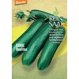 Kumara "Qualitas"