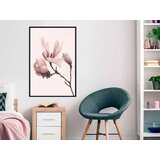  Poster - Blooming Magnolias II 30x45 | shoptok.hr