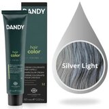 Boja za kosu Muška Dandy 60 ml – 0.18 Light Silver | Eponuda.ba