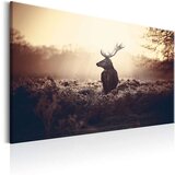  Slika - Lurking Deer 120x80 | shoptok.hr