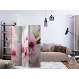 Paravan u 3 dijela - Spring blooming tree - pink flowers [Room Dividers] 135x172 | shoptok.hr