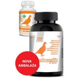 Vet Supplements COLUMBOCARNITIN 200+50 tableta gratis za golubove Cene