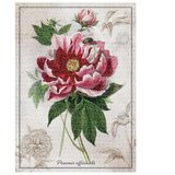 Puzzle 1000 KOM TUBA BOTANIC PEONY INTERDRUK | Shoptok.si