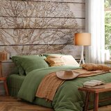  Foto tapeta - Tree on Boards 350x256 | shoptok.hr
