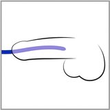 You2Toys Komplet silikonskih dilatorjev | Shoptok.si
