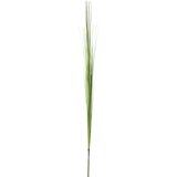 Atmosphera UMJETNA TRAVA 183 CM PVC ZELENA Slike