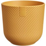  Jazz rund mini 11cm - jantarno rumena Cene