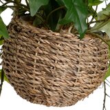 Casa Selección Umetne rastline v kompletu 2 ks (višina 50 cm) – | Shoptok.si
