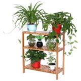  Regal WODY braon | Eponuda.com