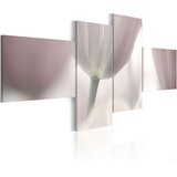  Slika - Pastel colored tulip 200x90 Cijene