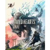Origin WILD HEARTS (ENG) (PC) Key GLOBAL | ePonuda.com