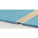 LOGOCLIC Prehodni profil (pesek, 1 m x 38 mm x 2,5 mm, vrsta montaže: vijaki) Cene