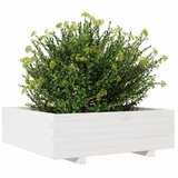  Vrtna sadilica bijela 80 x 80 x 26,5 cm od masivne borovine | Eponuda.ba