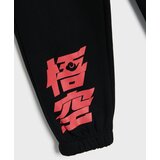 Sinsay Donji dio trenirke loose jogger Dragon Ball | shoptok.hr
