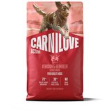 Carnilove Dog Active Adult, briketi - divjačina, jelen in divja svinja 4 kg | Shoptok.si