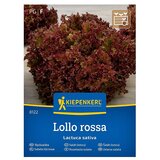 KIEPENKERL Zelenjavna semena Solata Lollo Rossa (Lactuca sativa, Čas žetve: Maj) | Shoptok.si