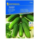 KIEPENKERL Sjeme povrća krastavac Excelsior (Cucumis sativus, Vrijeme sjetve: Svibanj, Berba: Srpanj) | shoptok.hr