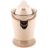  CITRUSETA 500W IRIDEA CHAMPAGNE TOGNANA | Eponuda.ba