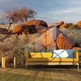  Tapeta - African landscape Namibia 400x309 | shoptok.hr