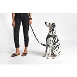 MiaCara Bež oprsnica velikosti XS dolžina 25 cm Modena Greige XS – | Shoptok.si