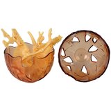  Dinosaur Eggs 4 Colors 16cm | shoptok.hr