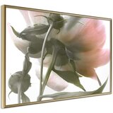 Poster - Under the Flower 45x30 Cijene