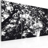  Slika - Dense forest 60x40 Cijene