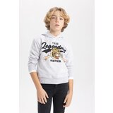 Defacto Boy's Hooded Printed Sweatshirt Cene