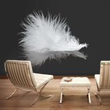  Tapeta - White feather 350x270 Cijene