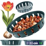 KADAX košara za čebulice, cvetlične čebulice, tulipane, pokrovčke za sajenje, 18 cm, (5000362470) Cene
