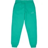 ESS No.1 Logo Sweatpants FL Zelena