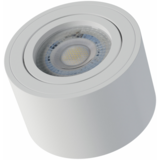 LED-LABS Stropna nadometna svetilka FIRA - bela | Shoptok.si